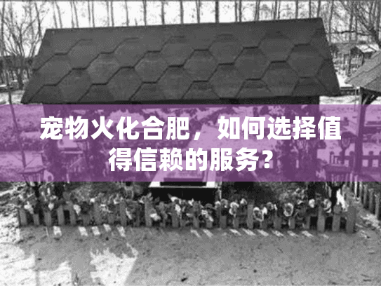 宠物火化合肥，如何选择值得信赖的服务？