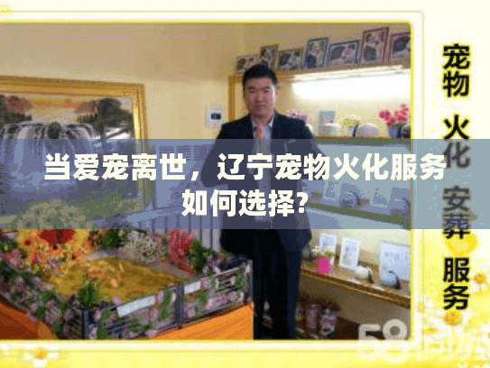 当爱宠离世，辽宁宠物火化服务如何选择?