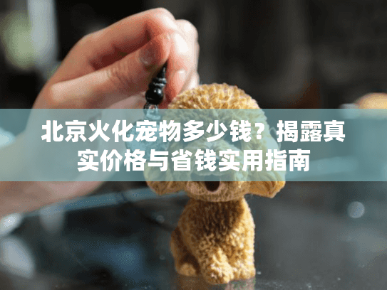 北京火化宠物多少钱？揭露真实价格与省钱实用指南