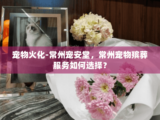 宠物火化-常州宠安堂，常州宠物殡葬服务如何选择？