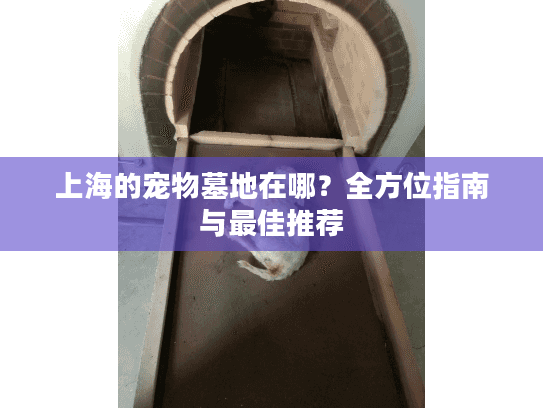 上海的宠物墓地在哪？全方位指南与最佳推荐
