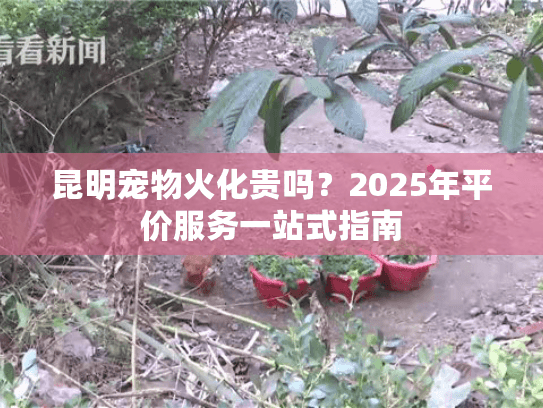 昆明宠物火化贵吗？2025年平价服务一站式指南