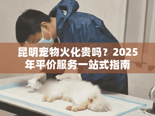 昆明宠物火化贵吗？2025年平价服务一站式指南