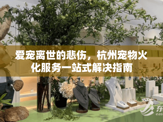 爱宠离世的悲伤，杭州宠物火化服务一站式解决指南