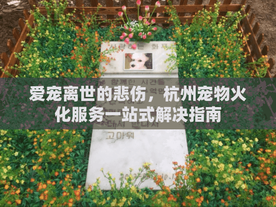 爱宠离世的悲伤，杭州宠物火化服务一站式解决指南