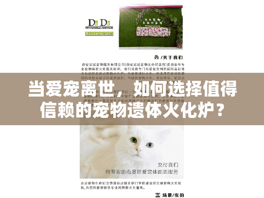 当爱宠离世，如何选择值得信赖的宠物遗体火化炉？