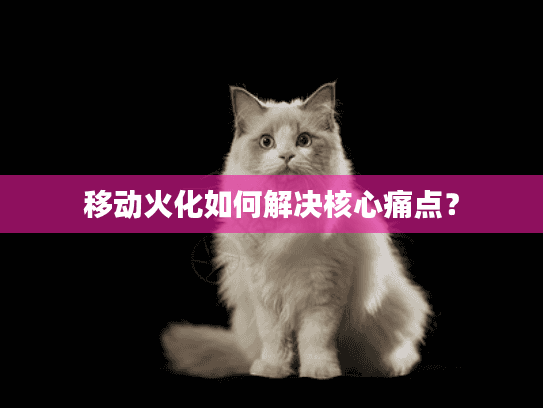 移动火化如何解决核心痛点？
