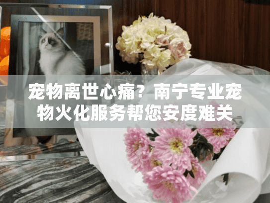 宠物离世心痛？南宁专业宠物火化服务帮您安度难关