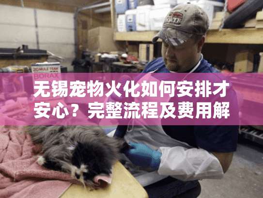 无锡宠物火化如何安排才安心？完整流程及费用解析