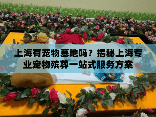上海有宠物墓地吗？揭秘上海专业宠物殡葬一站式服务方案