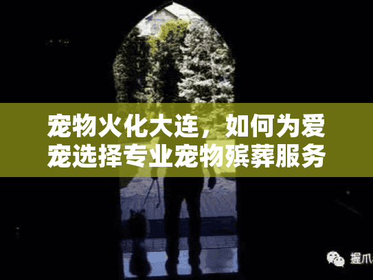 宠物火化大连，如何为爱宠选择专业宠物殡葬服务？