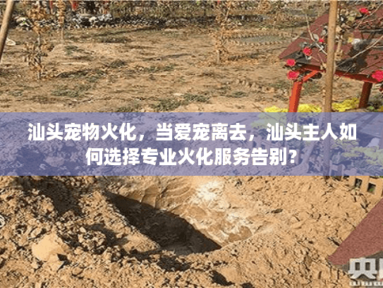 汕头宠物火化，当爱宠离去，汕头主人如何选择专业火化服务告别？
