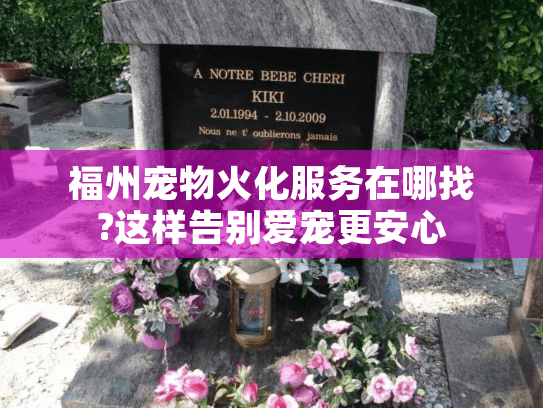 福州宠物火化服务在哪找?这样告别爱宠更安心