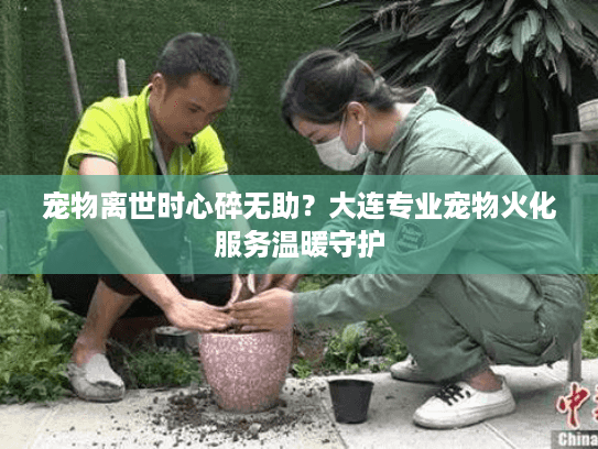 宠物离世时心碎无助？大连专业宠物火化服务温暖守护