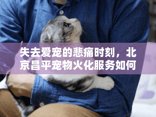 失去爱宠的悲痛时刻，北京昌平宠物火化服务如何帮您安心告别？