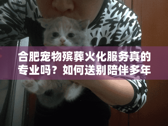 合肥宠物殡葬火化服务真的专业吗？如何送别陪伴多年的家人