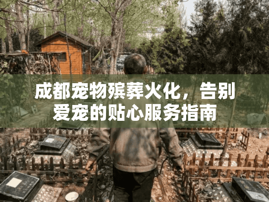 成都宠物殡葬火化，告别爱宠的贴心服务指南