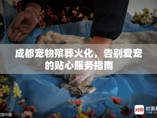 成都宠物殡葬火化，告别爱宠的贴心服务指南