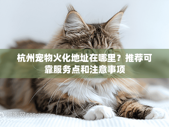 杭州宠物火化地址在哪里？推荐可靠服务点和注意事项