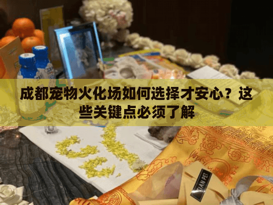 成都宠物火化场如何选择才安心？这些关键点必须了解