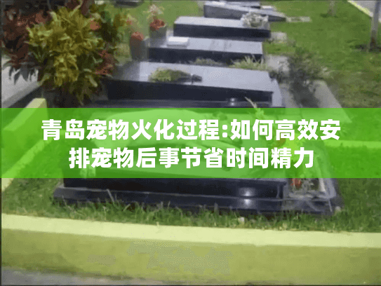 青岛宠物火化过程:如何高效安排宠物后事节省时间精力