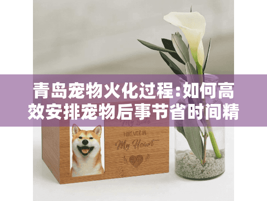 青岛宠物火化过程:如何高效安排宠物后事节省时间精力