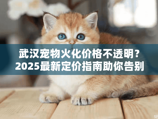 武汉宠物火化价格不透明？2025最新定价指南助你告别踩坑焦虑