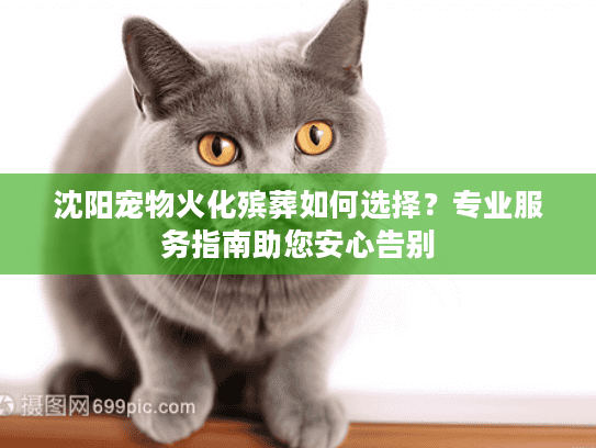 沈阳宠物火化殡葬如何选择？专业服务指南助您安心告别