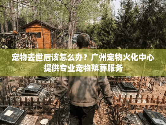 宠物去世后该怎么办？广州宠物火化中心提供专业宠物殡葬服务