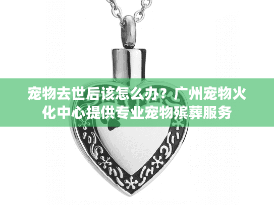 宠物去世后该怎么办？广州宠物火化中心提供专业宠物殡葬服务