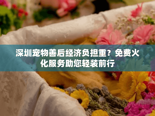 深圳宠物善后经济负担重？免费火化服务助您轻装前行