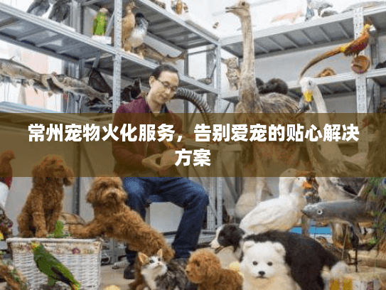 常州宠物火化服务，告别爱宠的贴心解决方案