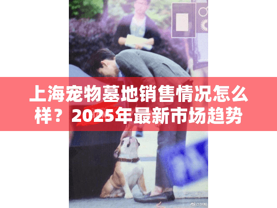 上海宠物墓地销售情况怎么样？2025年最新市场趋势与服务选择解析