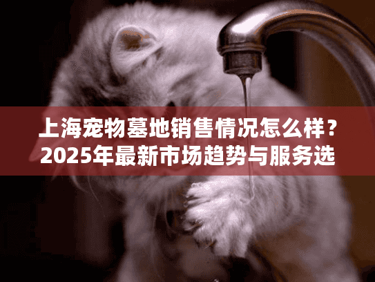 上海宠物墓地销售情况怎么样？2025年最新市场趋势与服务选择解析