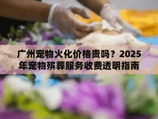 广州宠物火化价格贵吗？2025年宠物殡葬服务收费透明指南