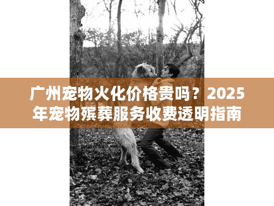 广州宠物火化价格贵吗？2025年宠物殡葬服务收费透明指南