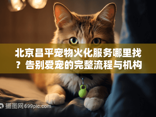 北京昌平宠物火化服务哪里找？告别爱宠的完整流程与机构选择要点