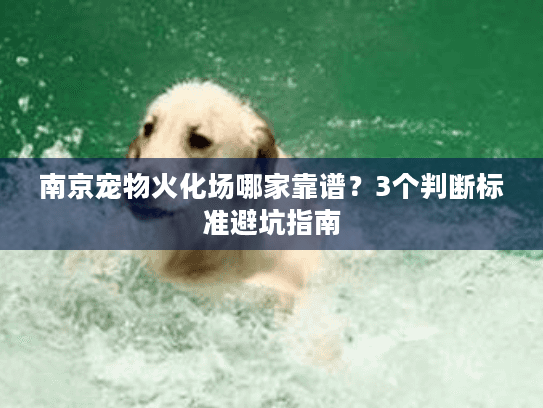 南京宠物火化场哪家靠谱？3个判断标准避坑指南