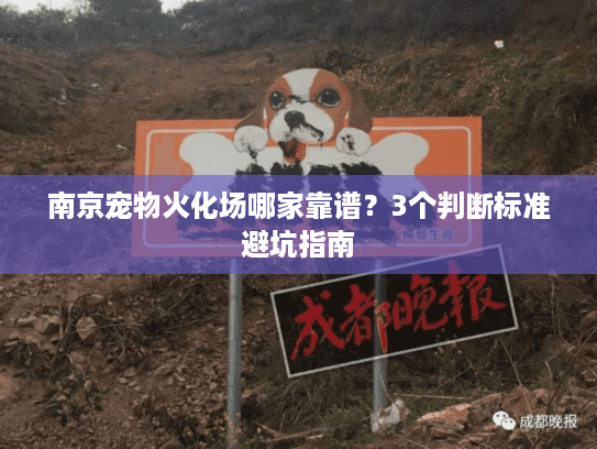 南京宠物火化场哪家靠谱？3个判断标准避坑指南