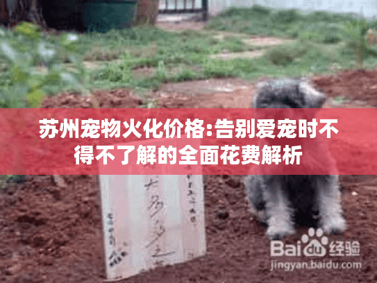 苏州宠物火化价格:告别爱宠时不得不了解的全面花费解析