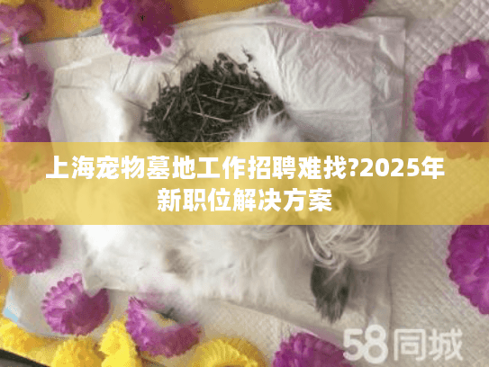 上海宠物墓地工作招聘难找?2025年新职位解决方案