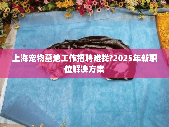上海宠物墓地工作招聘难找?2025年新职位解决方案