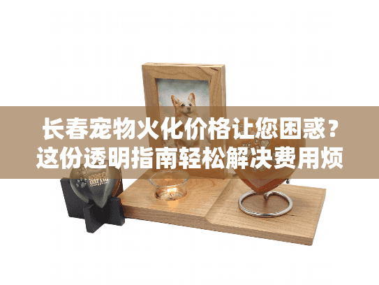 长春宠物火化价格让您困惑？这份透明指南轻松解决费用烦恼