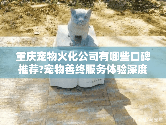 重庆宠物火化公司有哪些口碑推荐?宠物善终服务体验深度解析