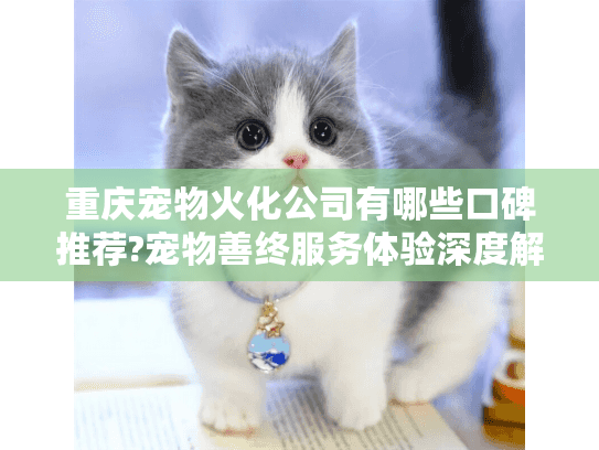 重庆宠物火化公司有哪些口碑推荐?宠物善终服务体验深度解析