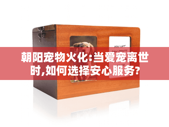 朝阳宠物火化:当爱宠离世时,如何选择安心服务?