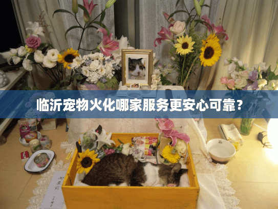 临沂宠物火化哪家服务更安心可靠？