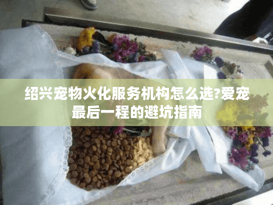 绍兴宠物火化服务机构怎么选?爱宠最后一程的避坑指南