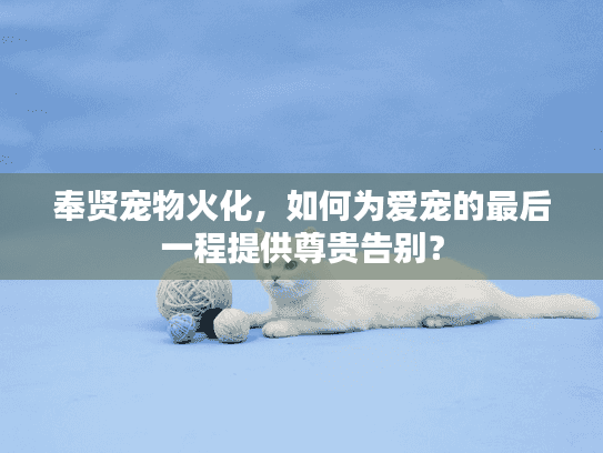 奉贤宠物火化，如何为爱宠的最后一程提供尊贵告别？