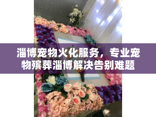 淄博宠物火化服务，专业宠物殡葬淄博解决告别难题